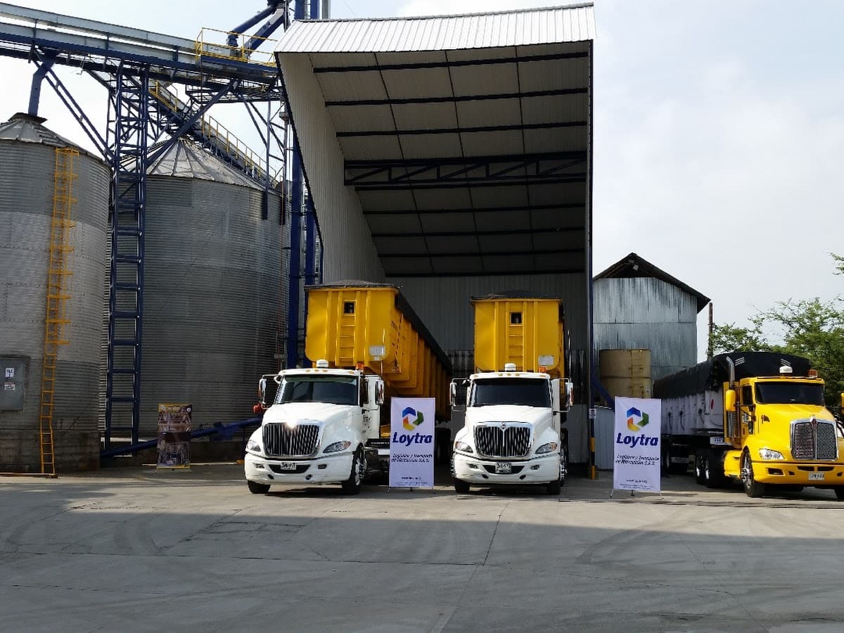 Logistica LODYTRANS Cali — foto