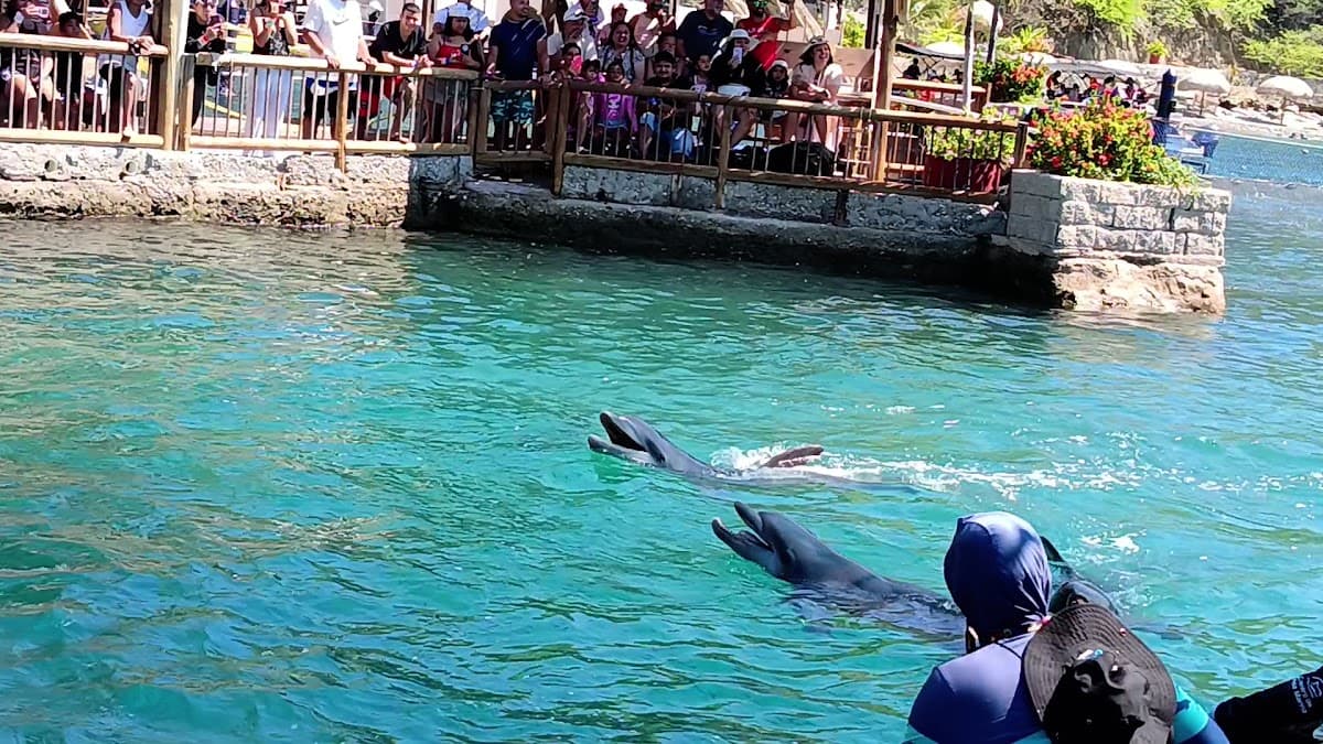 Centro de Vida Marina Santa Marta — foto