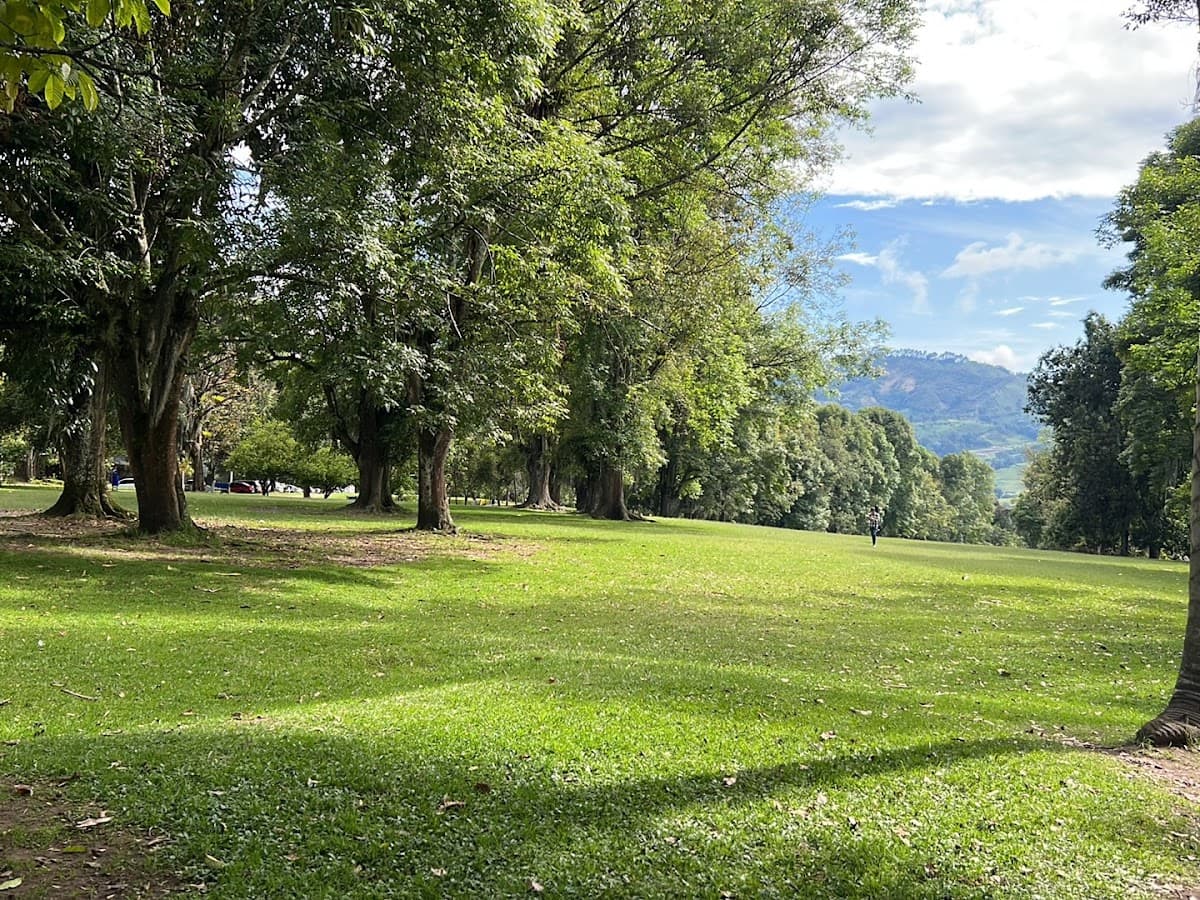Parque Bosque Popular