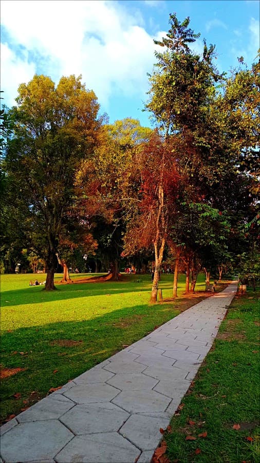 Parque Bosque Popular — foto