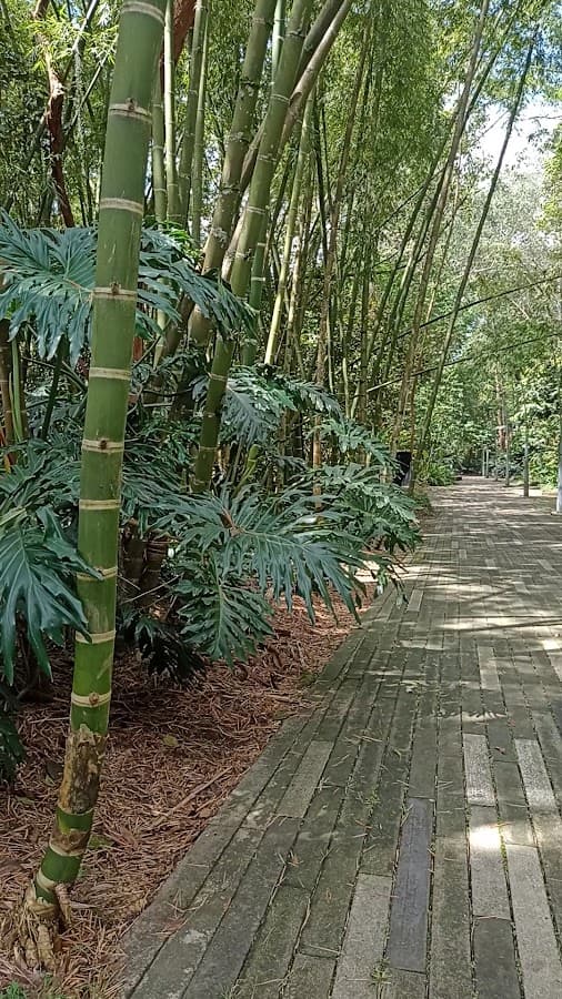 Parque Lineal La Frontera — foto