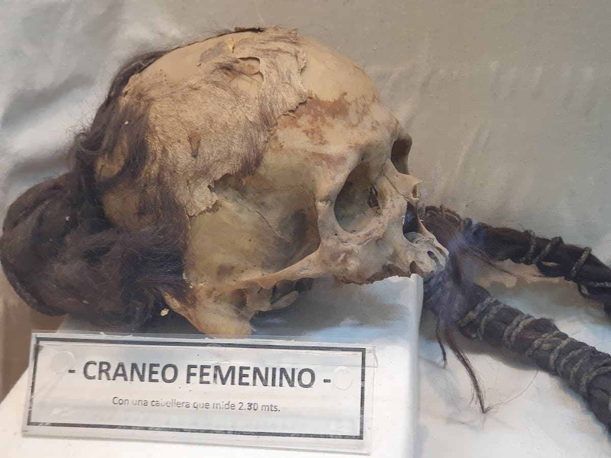 Museo Salesiano Vicente Rasetto