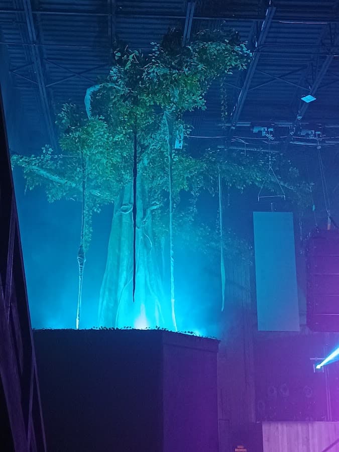 The Banyan Live — foto