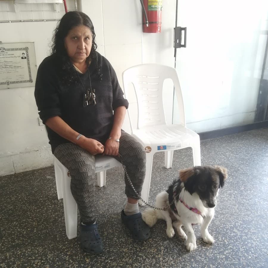 Veterinaria Spa Odar — foto