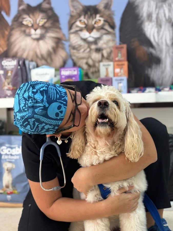 NEOVETS clínica veterinaria — foto