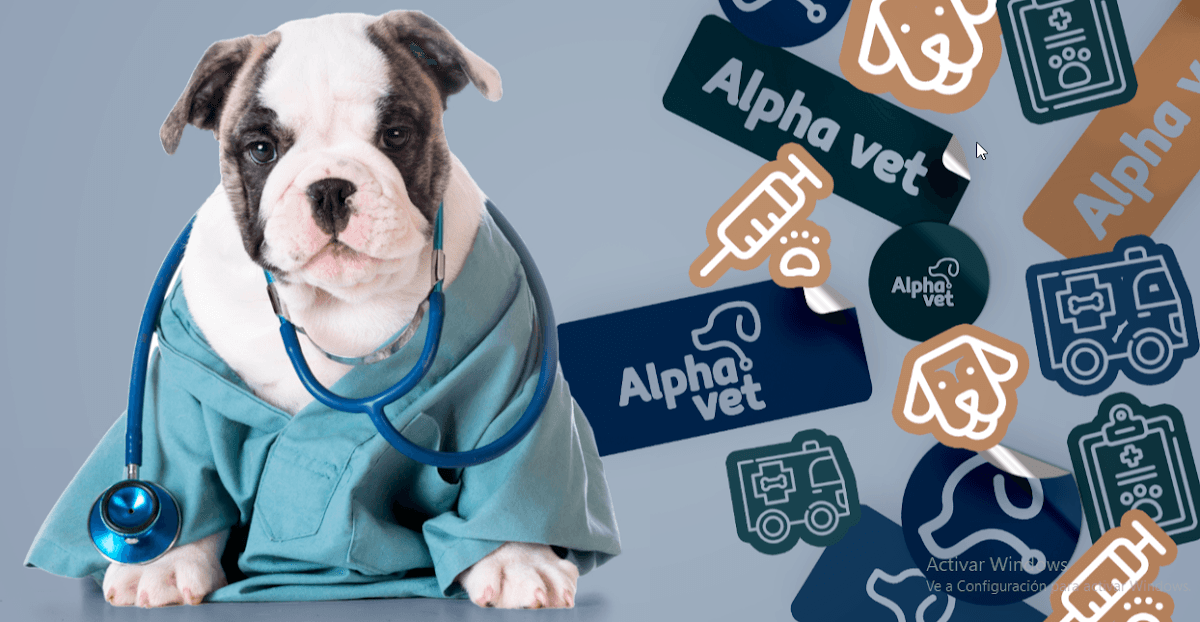 Alpha Vet Clínica Veterinaria