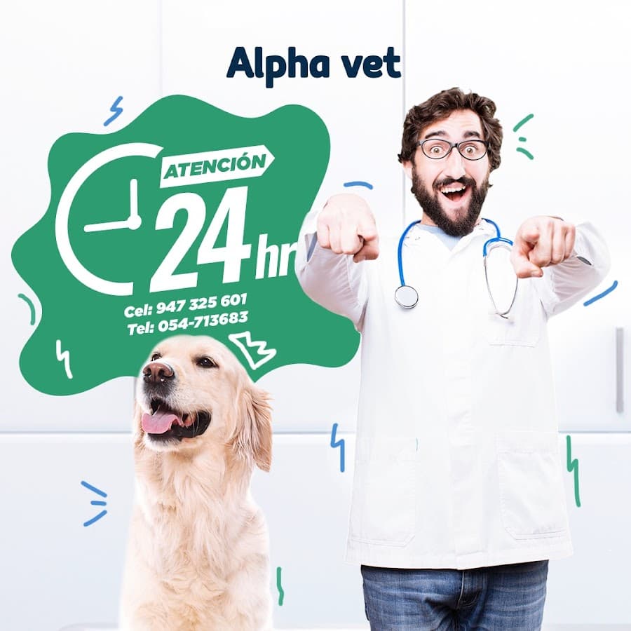 Alpha Vet Clínica Veterinaria — foto