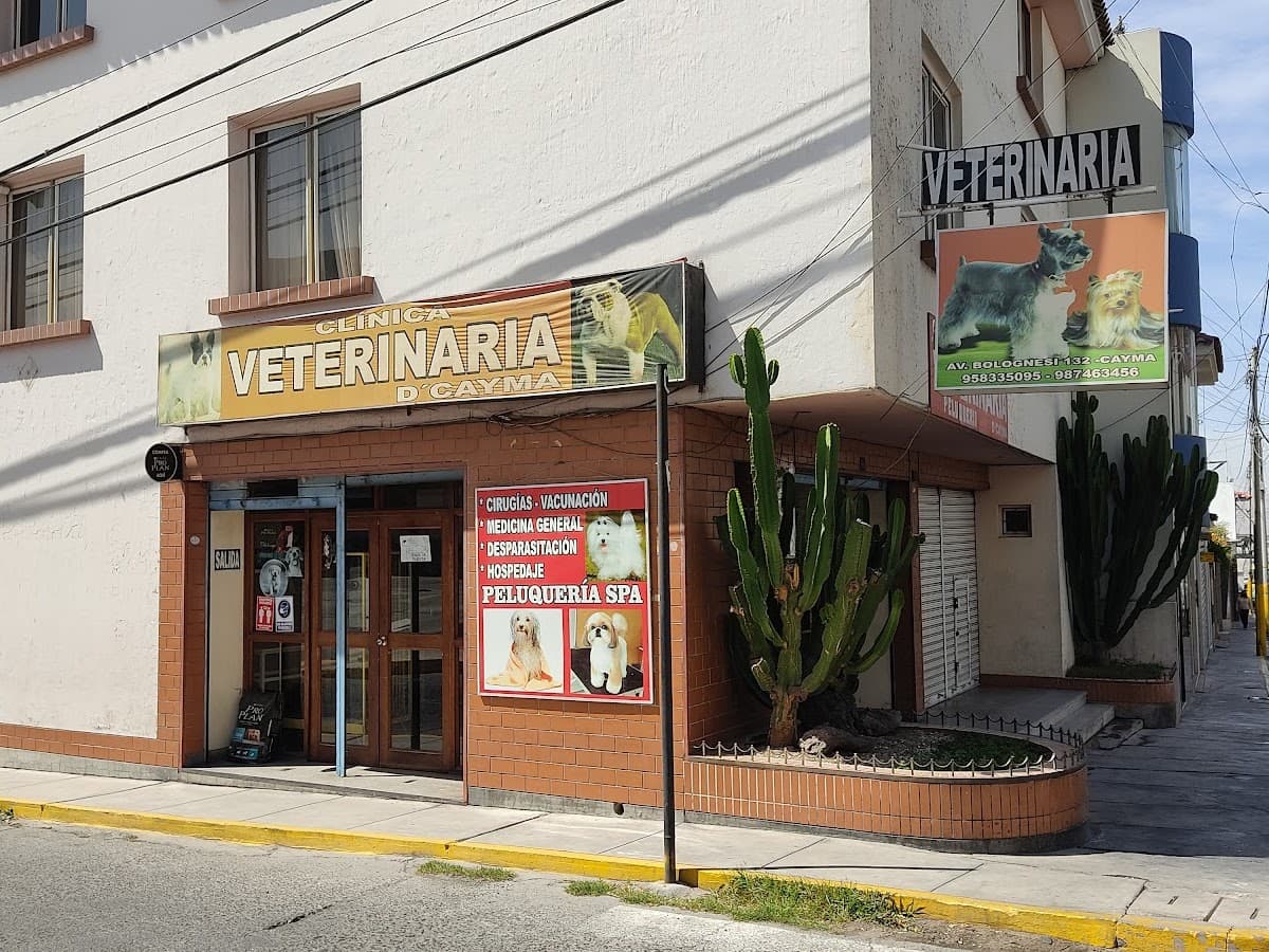 Alpha Vet Clínica Veterinaria — foto