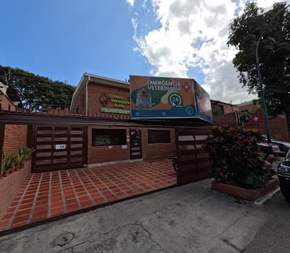 Clinica Veterinaria Avila — foto