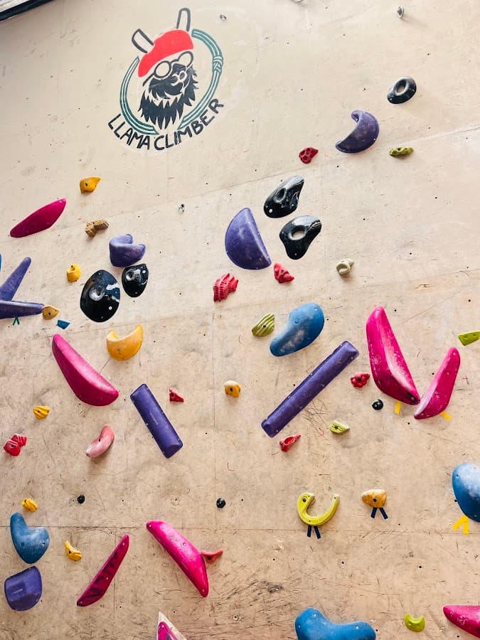 Llama Climber — foto