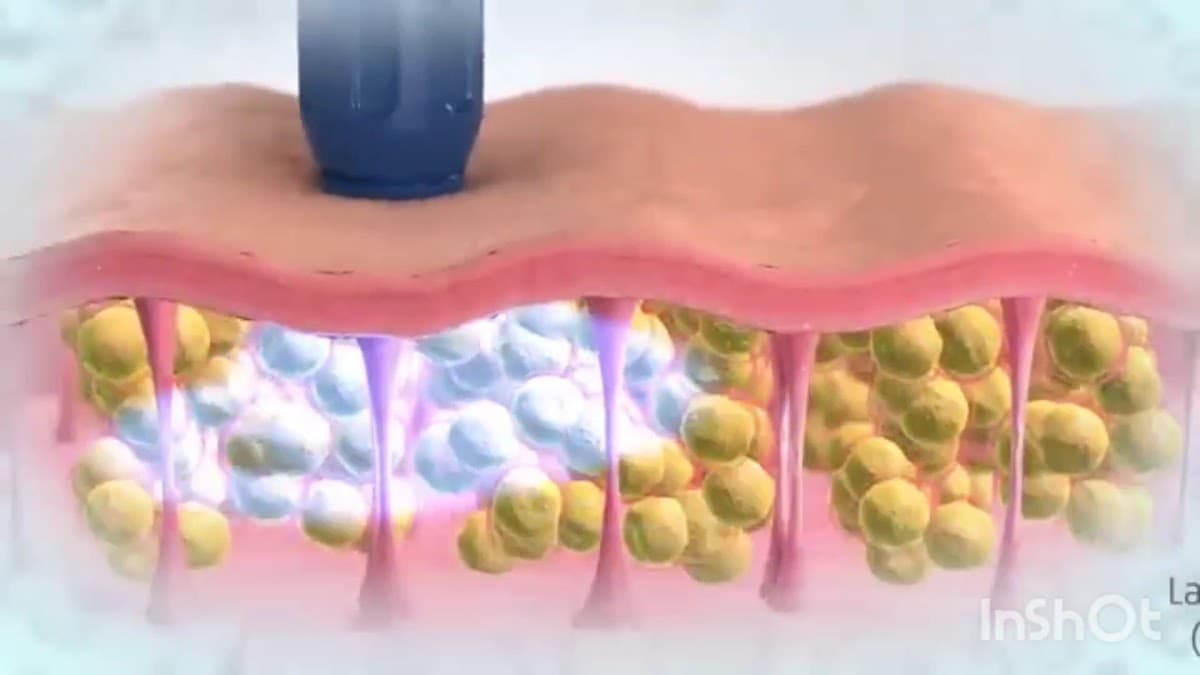 Consultorio BEATRIZ MALDONADO. FISIOTERAPIA& SPA — foto