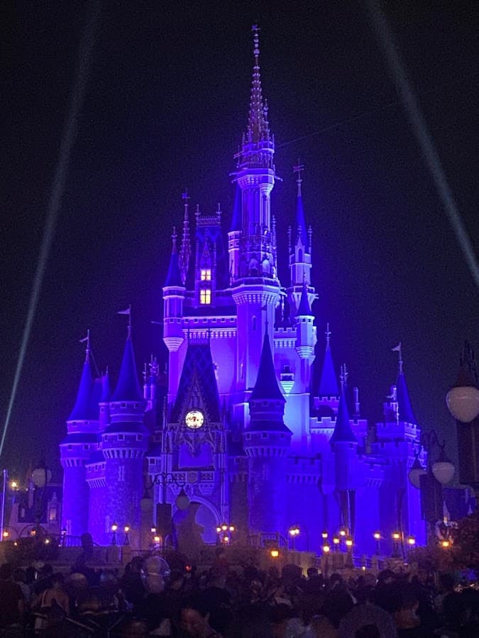 Viva Orlando Travel Agency — foto