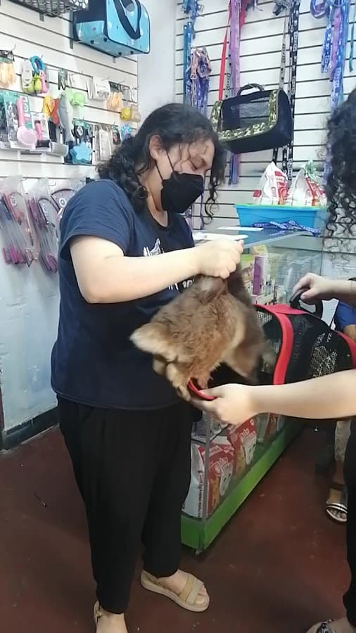 Veterinaria NO TE OLVIDES DE MI — foto