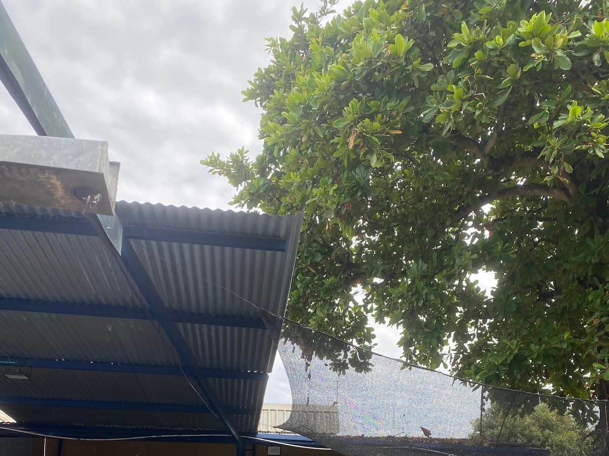 Mecánica automotriz Calderón — foto
