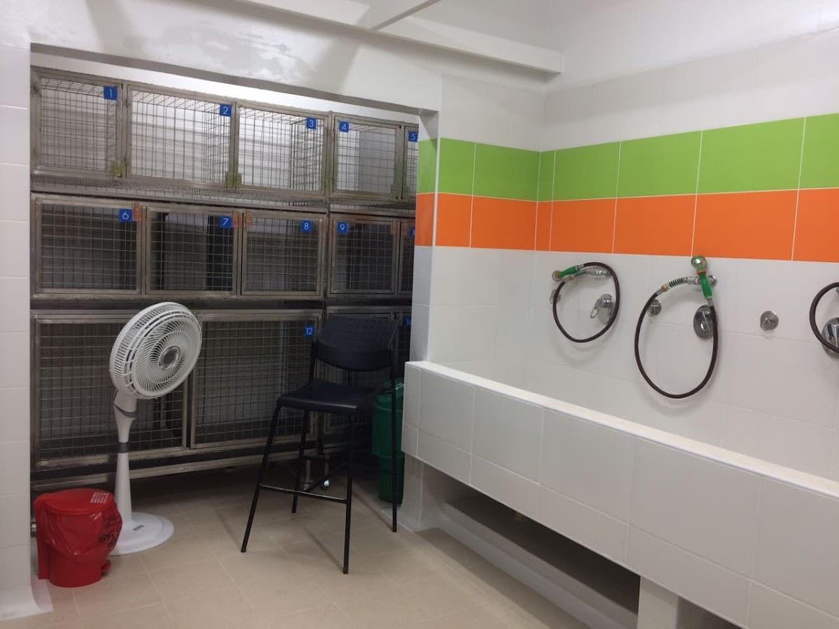 Clinica Veterinaria Ibague Agrogan Mascotas — foto