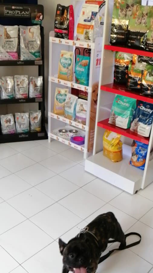 Animal Health — foto