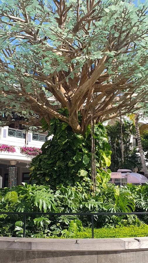 CityPlace — foto