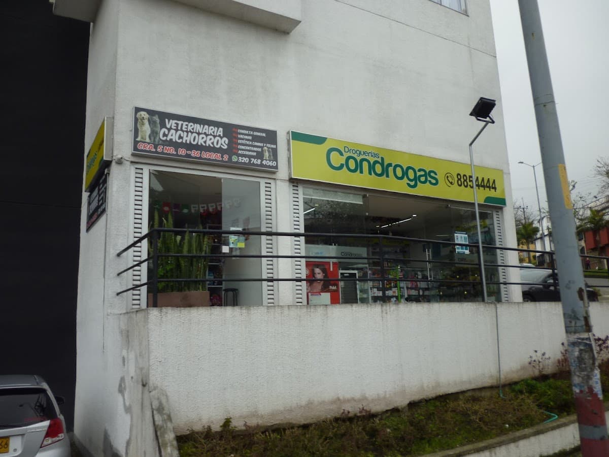 Condrogas VILLAPILAR - Manizales. Productos de droguería, farmacia, cuidado personal y belleza. Servicio de domicilio.