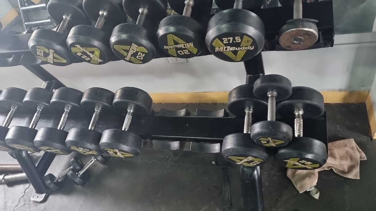 GIO FIT