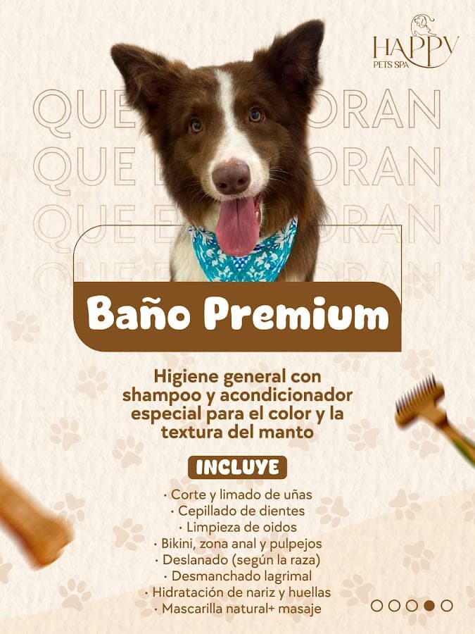 Happy Pets Spa Ibagué — foto