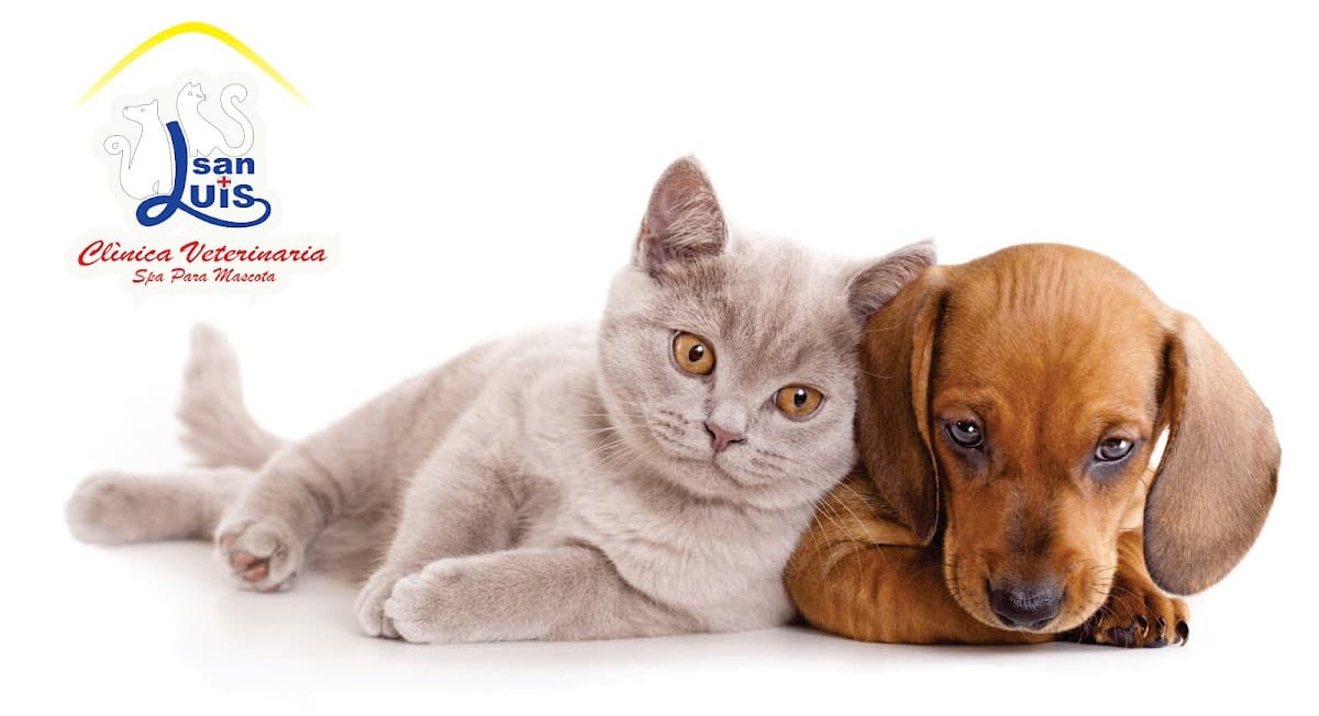 Clínica Veterinaria San Luis Yanahuara