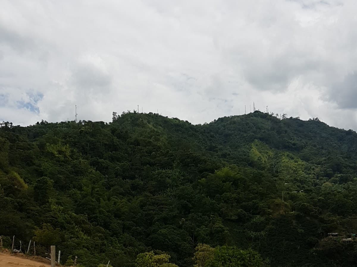 Mirador las torres — foto