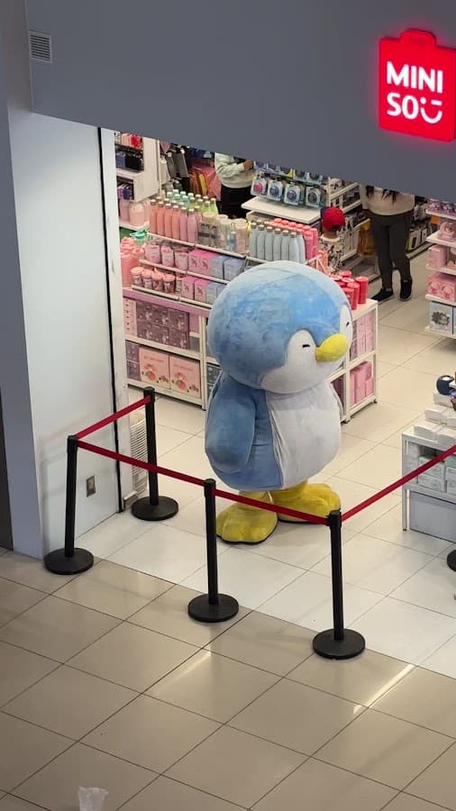 Miniso - Mallplaza Huancayo — foto