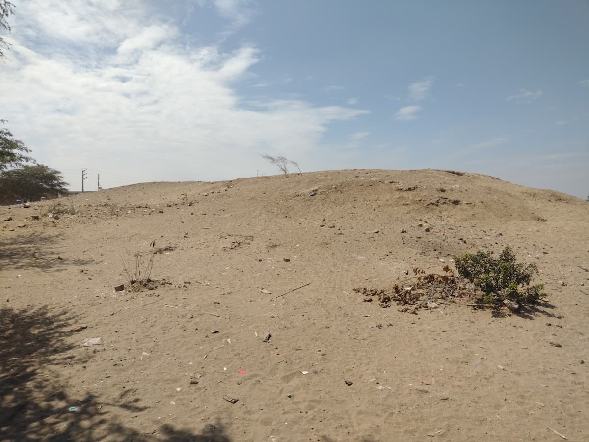 Zona Arqueológica Las Dunas