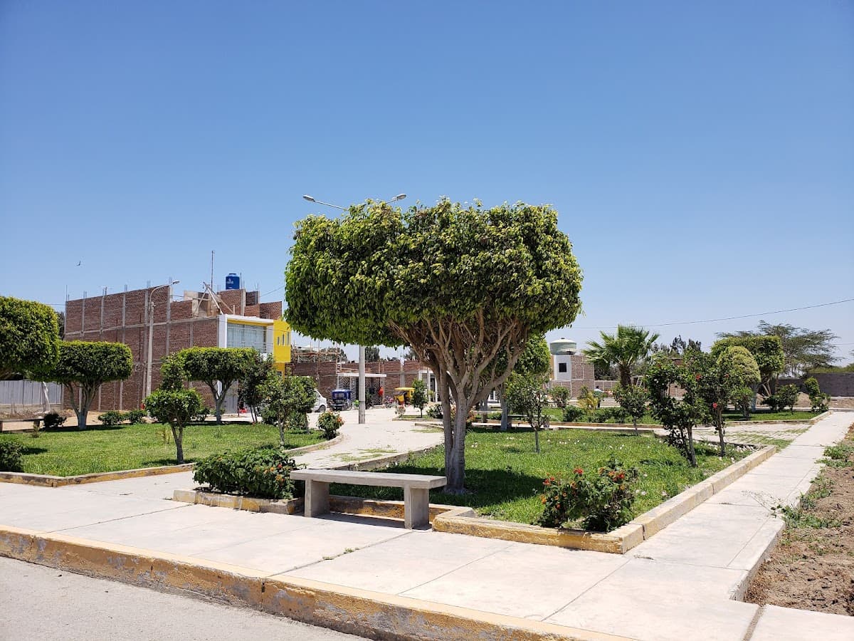 Zona Arqueológica Las Dunas — foto