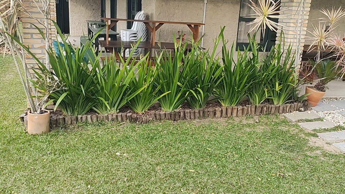 Jardim do Rancho — foto