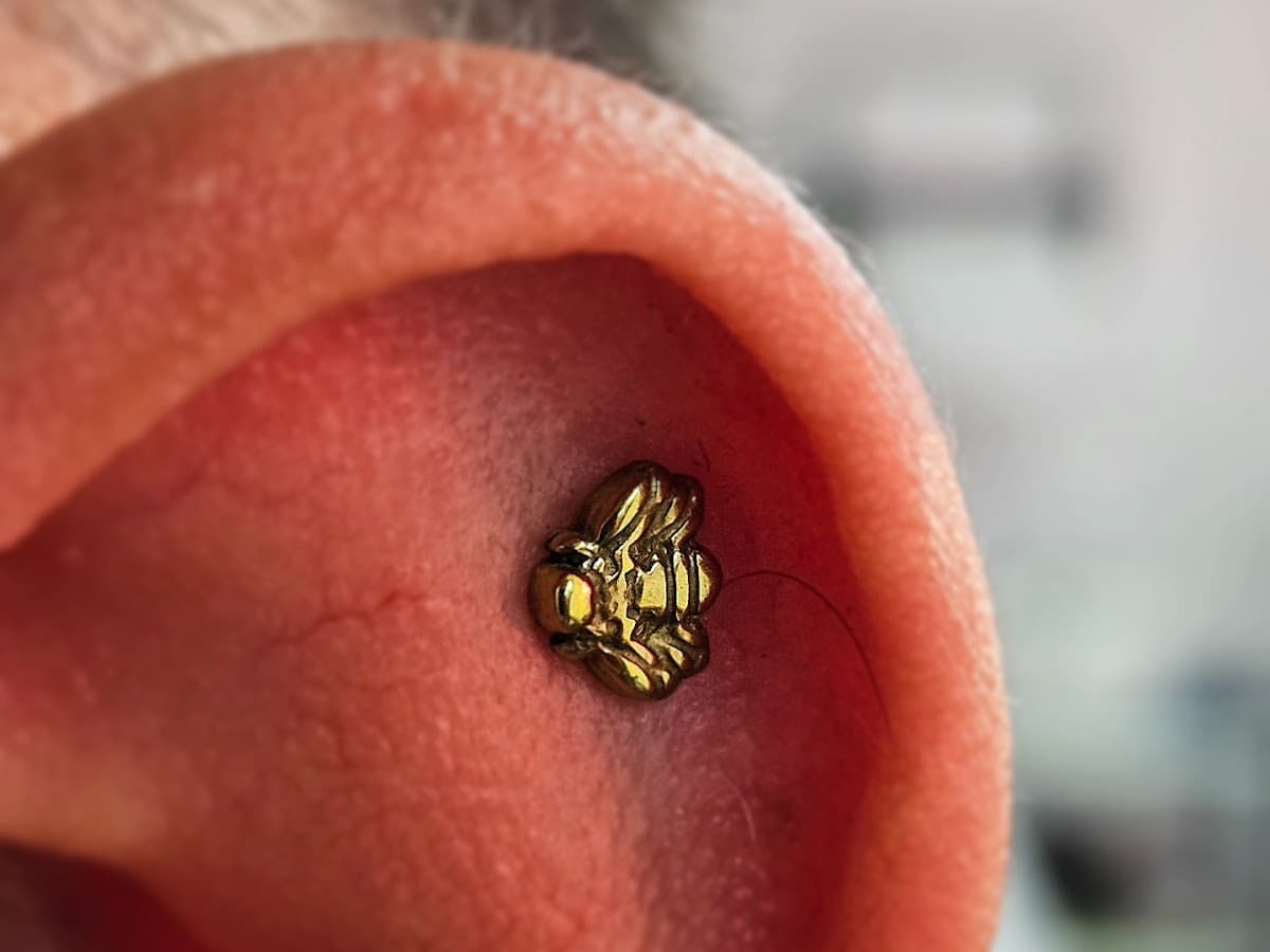 Fashion Piercing — foto