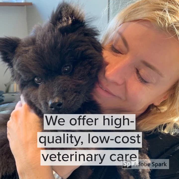 Jacksonville Community Pet Clinic - West — foto