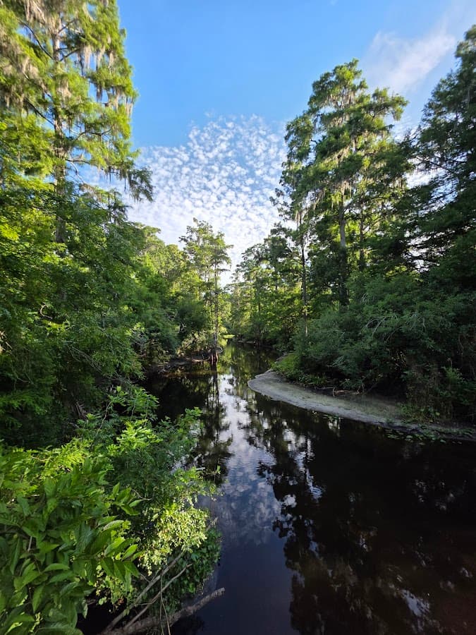 Lettuce Lake Park — foto