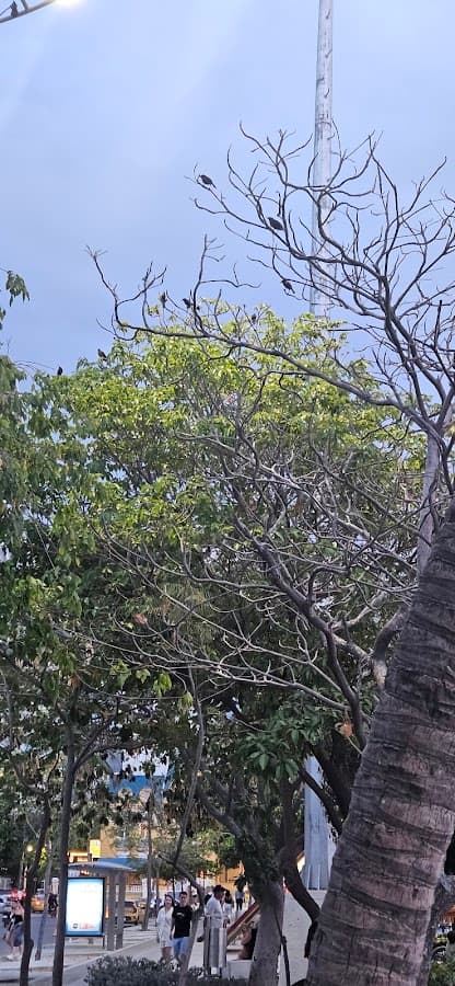 Bahía de Santa Marta — foto