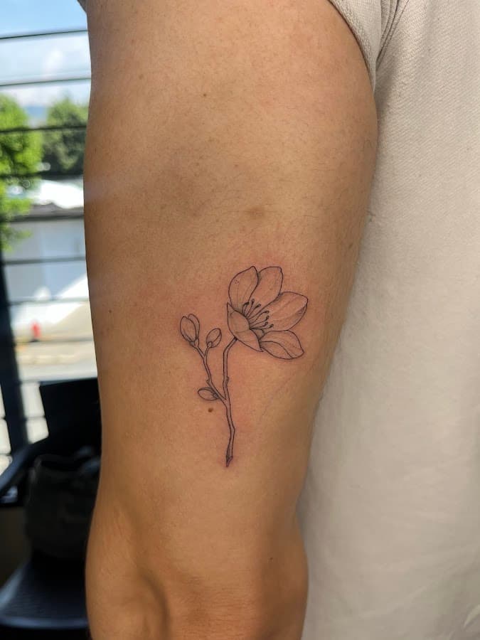 Haku Tattoo Studio