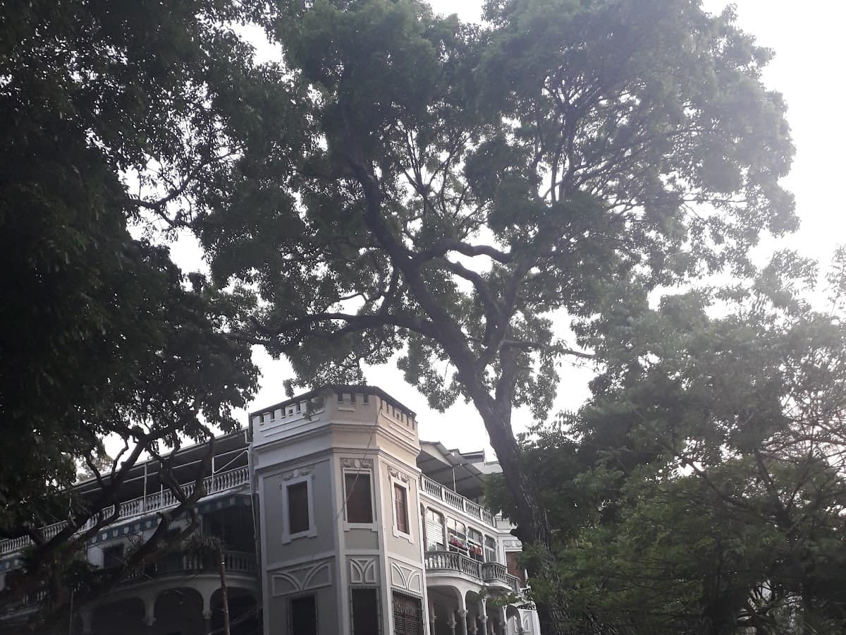Colegio Teresiano La Castellana — foto