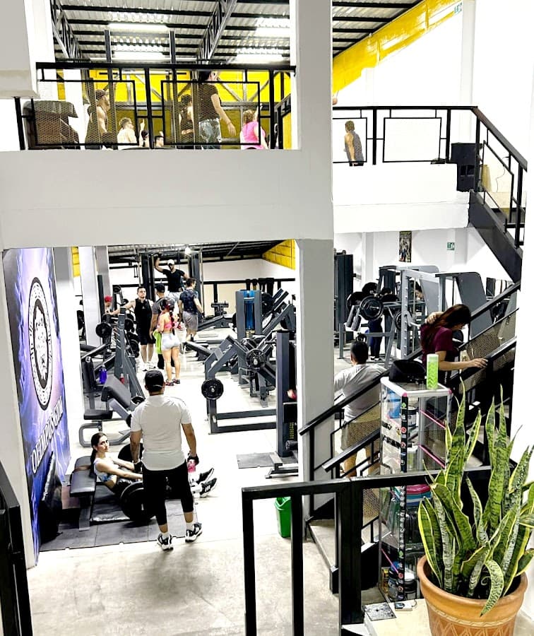 Olimpus Gym