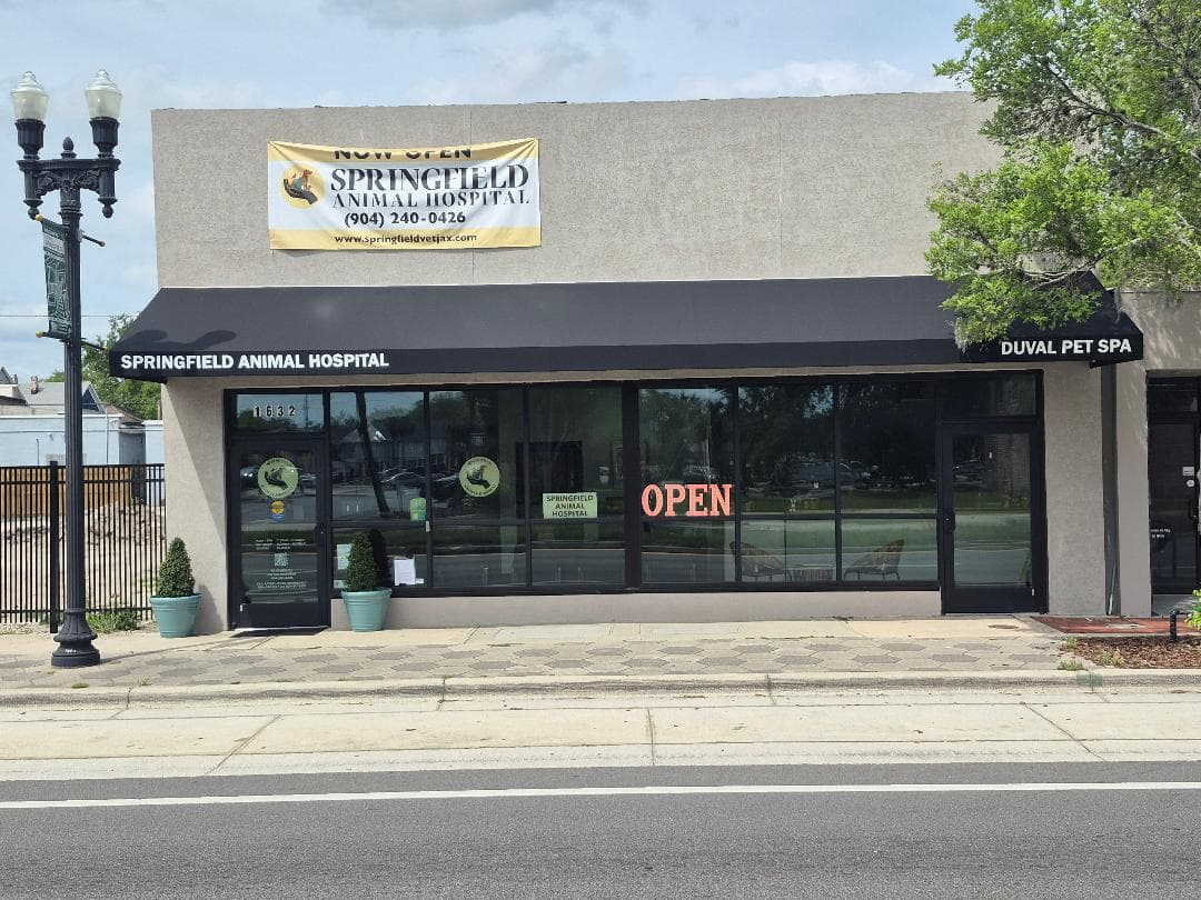 Springfield Animal Hospital