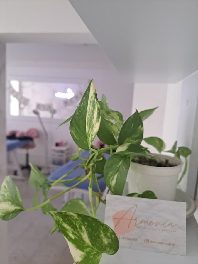 Armonía Spa Cali