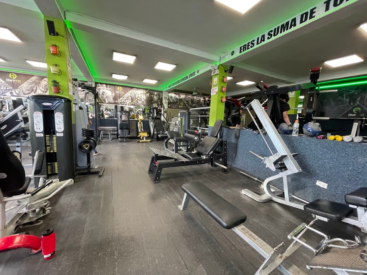 GymToFitness