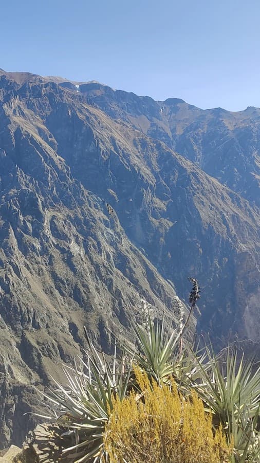Agencia de viajes Arequipa- Expotravel Perú — foto