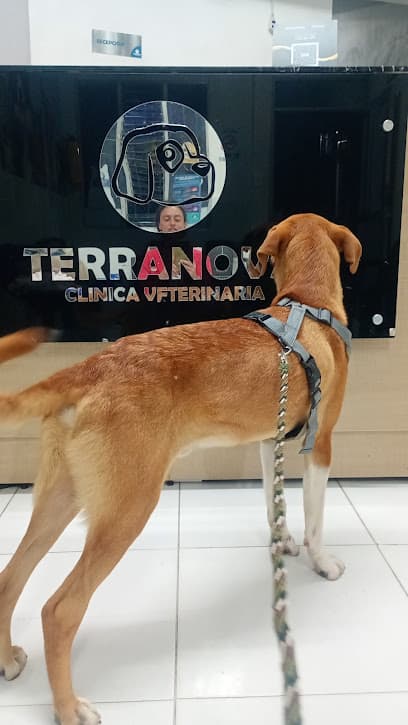 Clínica Veterinaria Terranova — foto
