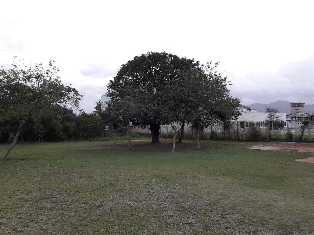 Colégio Unificado