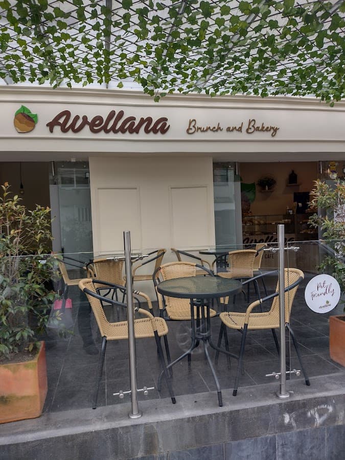 Avellana Brunch Bakery and Coffee