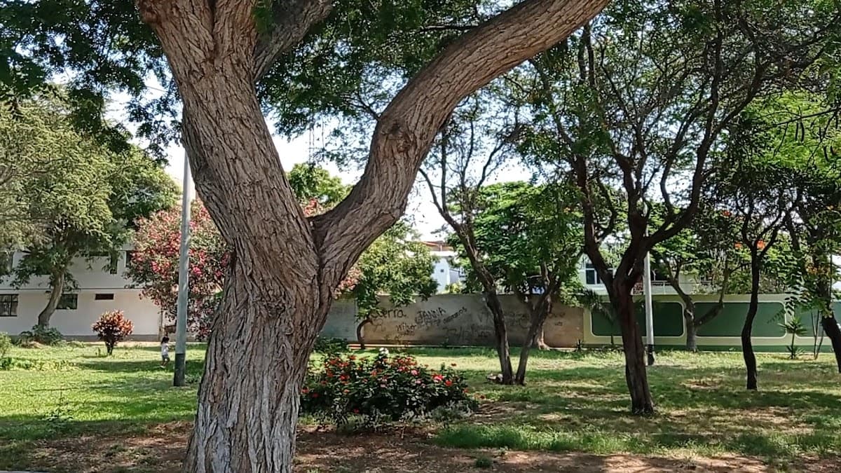 CEP Nuestra Señora del Perpetuo Socorro — foto