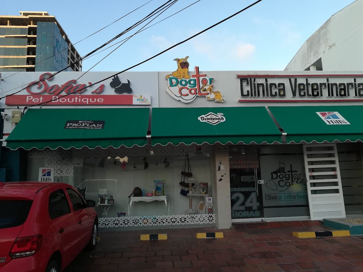Clínica Veterinaria Dogtor Cat