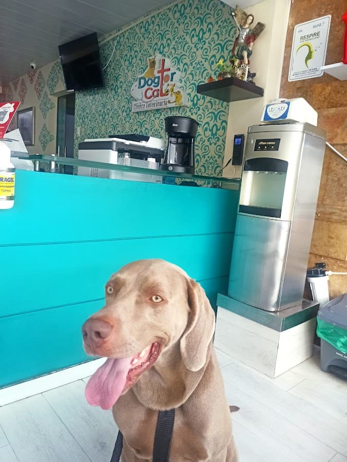 Clínica Veterinaria Dogtor Cat — foto