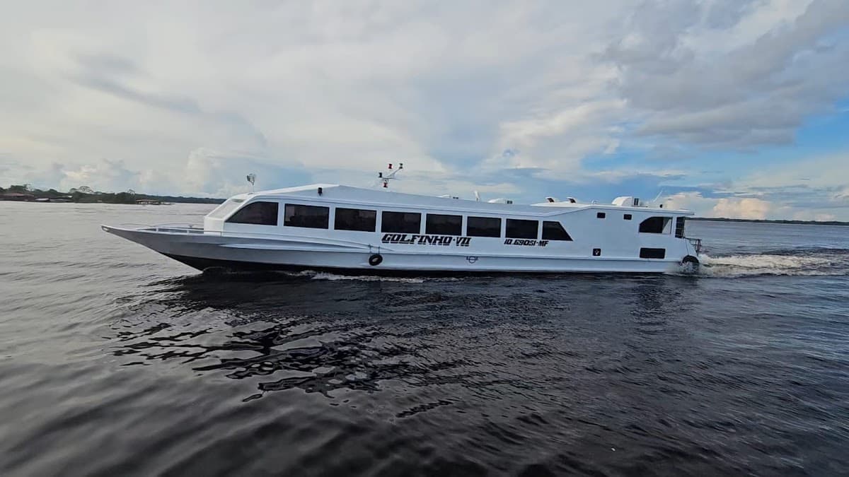 TRANSPORTE GOLFINHO