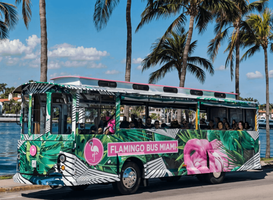 Flamingo Bus Miami Tours
