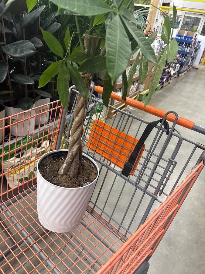 The Home Depot — foto